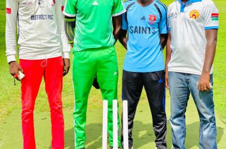 Brikama and Indiana triumph in Gambia Cricket League