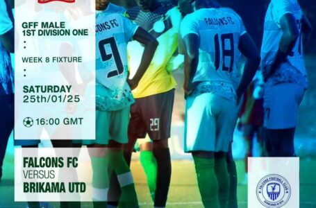 FALCONS vs BRIKAMA UTD — LOSFF